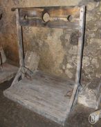 1227606530_081125_tort05.JPG.